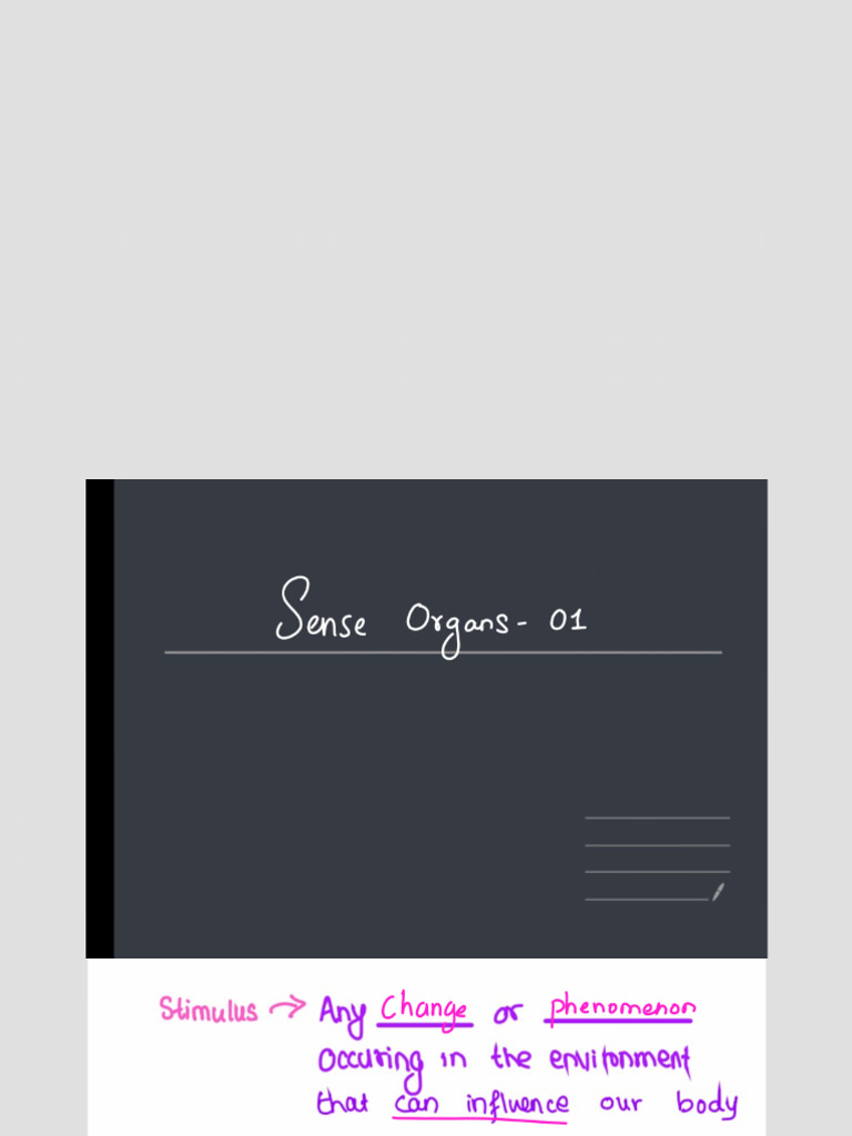 SENSE1 | PDF
