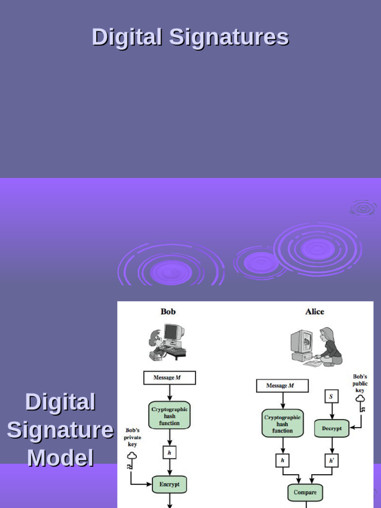 Elgamal Digtal Signature | PDF | Public Key Cryptography | Applied ...