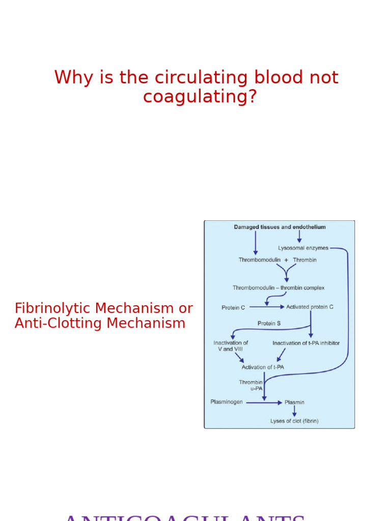 Understanding Blood Coagulation and Anticoagulants | PDF