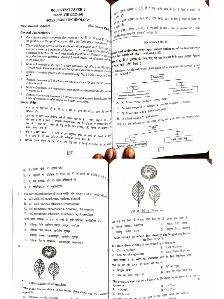 SP 2 | PDF