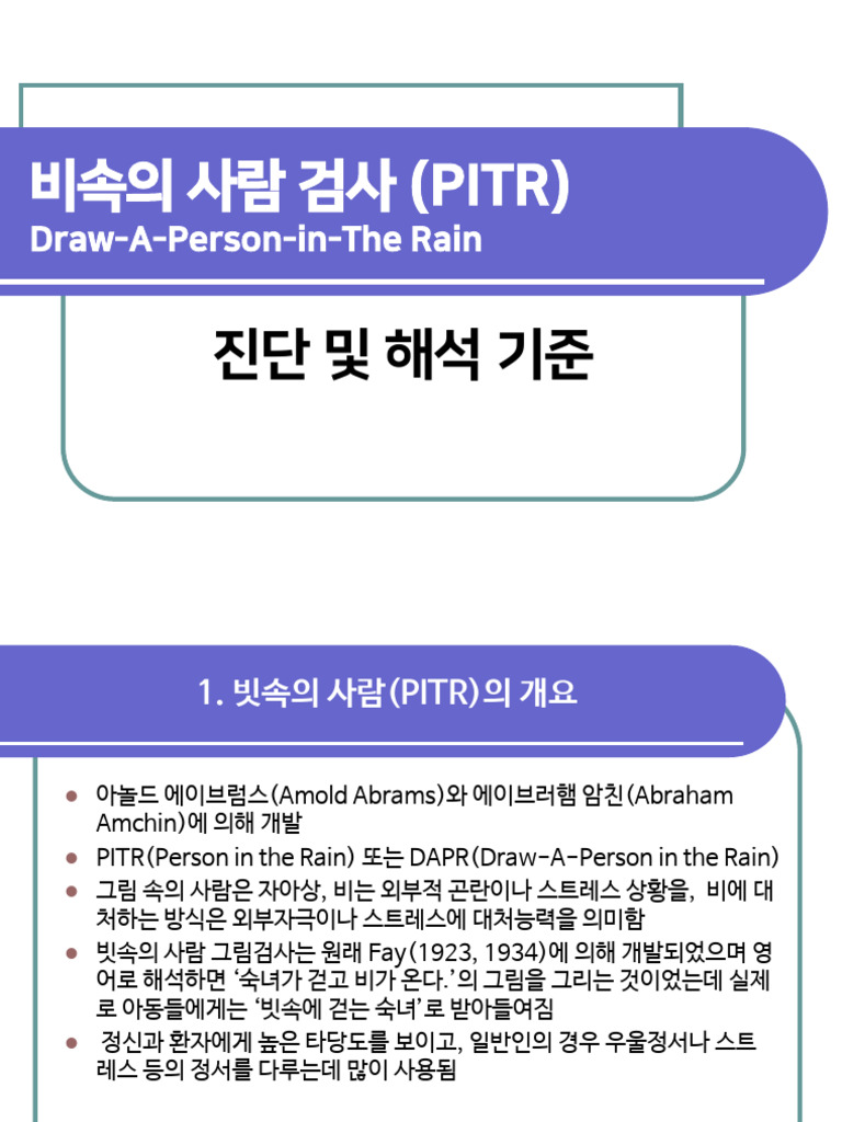 PIRT 해석 | PDF