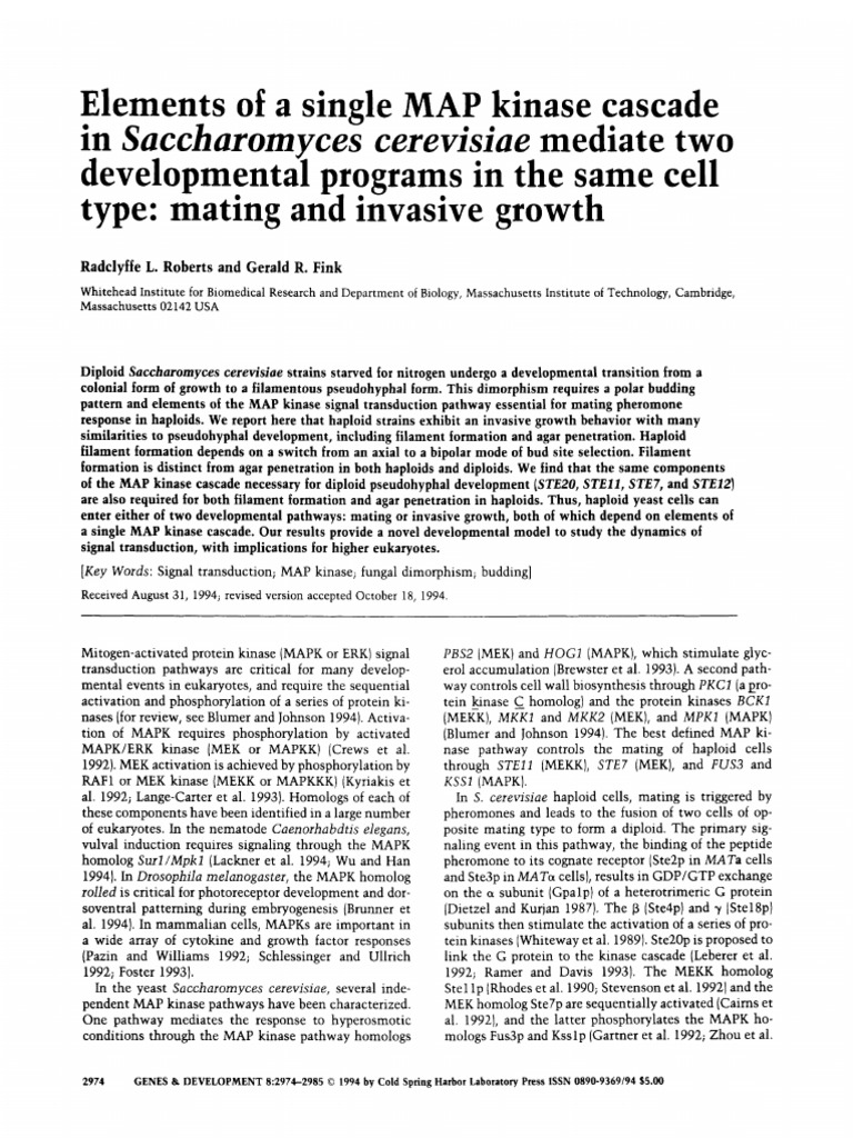 Genes Dev.-1994-Roberts-2974-85 | PDF | Mitogen Activated Protein ...