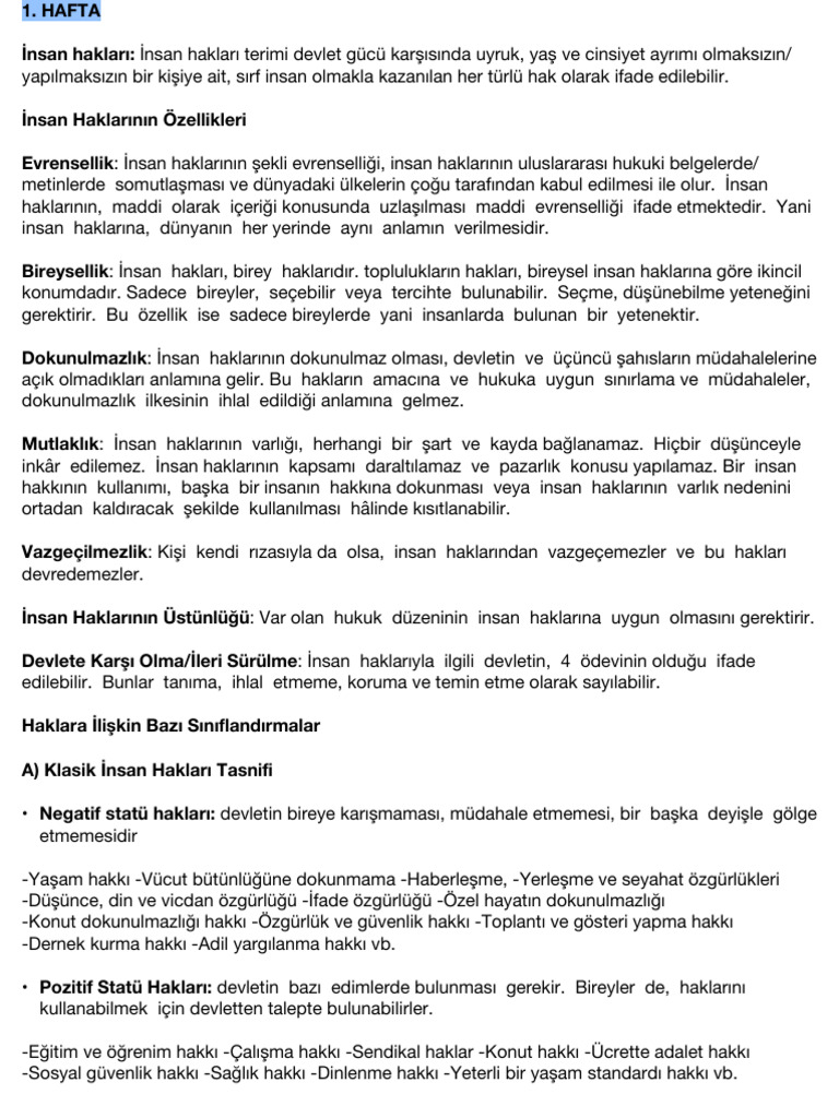 İnsan Hakları Final | PDF