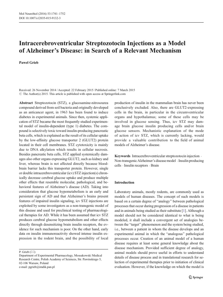 Intracerebroventricular Streptozotocin Injections As A Model of ...