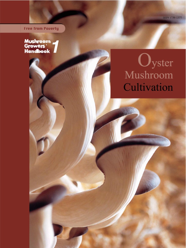 Mushroom Growers' Handbook 1: Oyster Mushroom Cultivation, PDF, Fungus