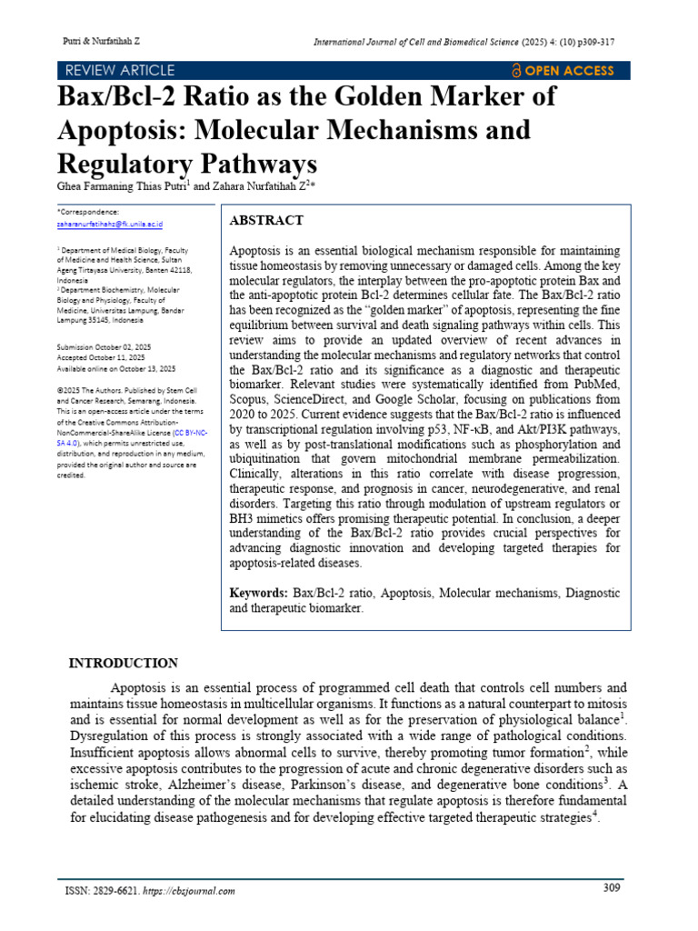 Bax/Bcl-2 Ratio: Key Apoptosis Insights | PDF | Apoptosis | Bcl 2