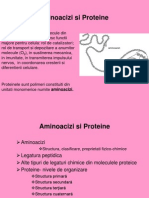 Proteine Aminoacizi