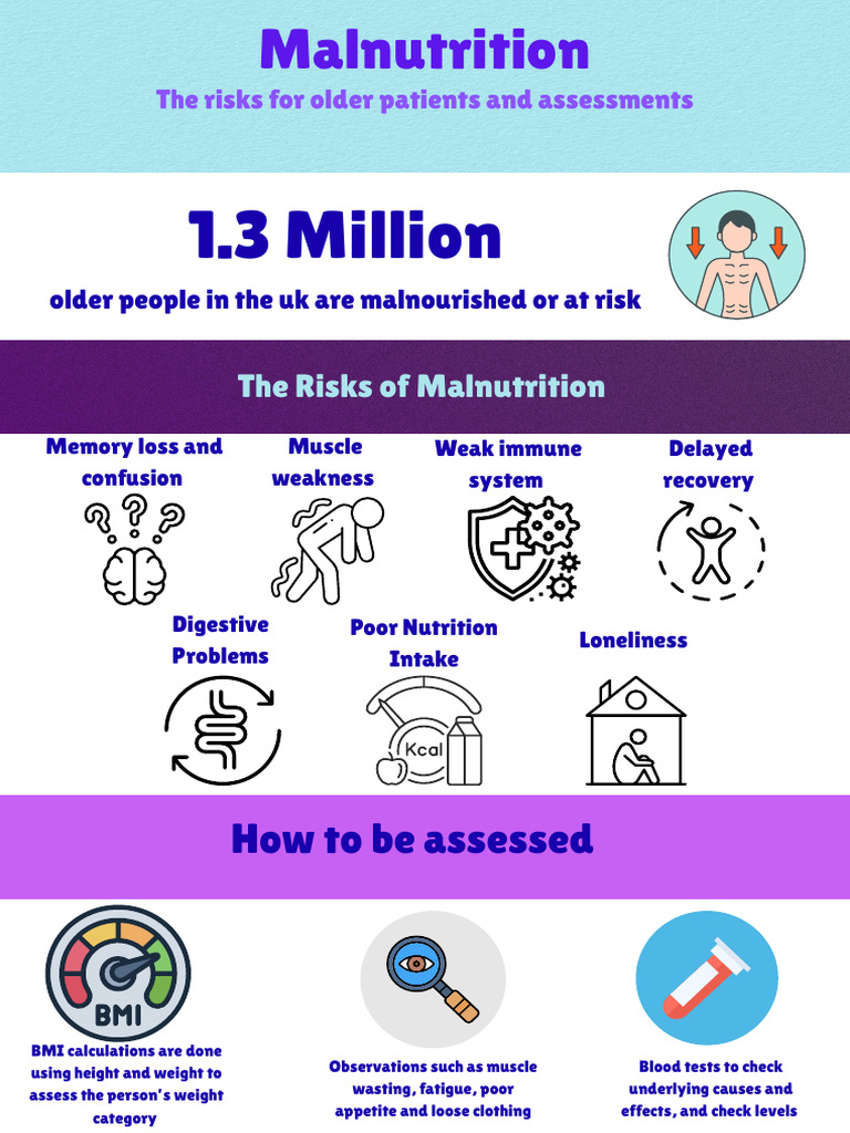 Malnutrition Risks in Older Adults | PDF