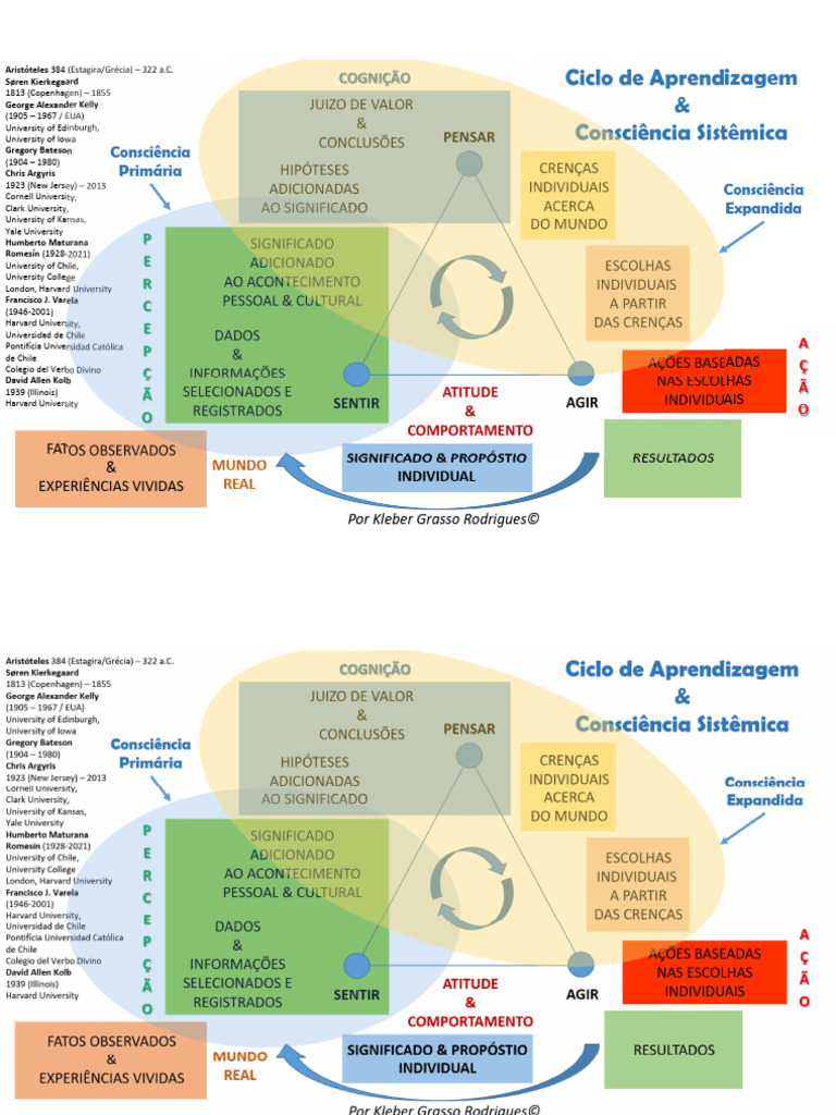 Ciclo de Aprendizagem e Consciência | PDF | Conceitos psicológicos ...