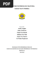 Download Praktikum Sistem Indra by Deika Tri Oktavia SN97324955 doc pdf