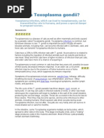 Download What is Toxoplasma Gondii by yuv8raj SN97325506 doc pdf