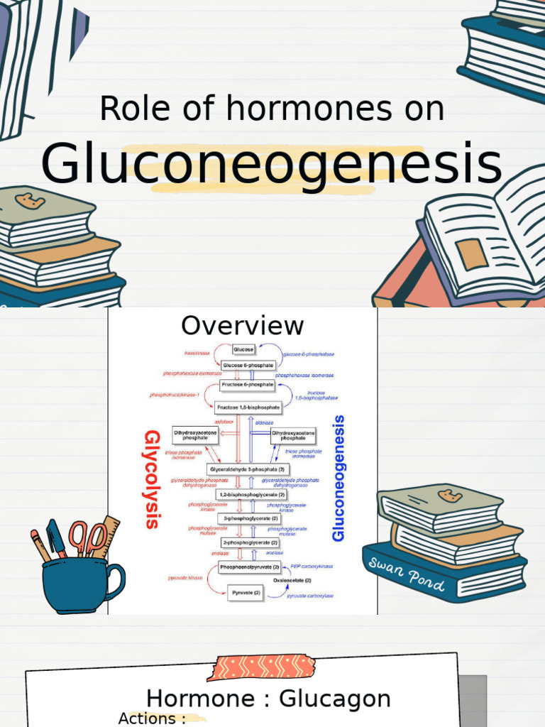 Role of Hormones in Gluconeogenesis - 20240929 - 225804 - 0000 | PDF