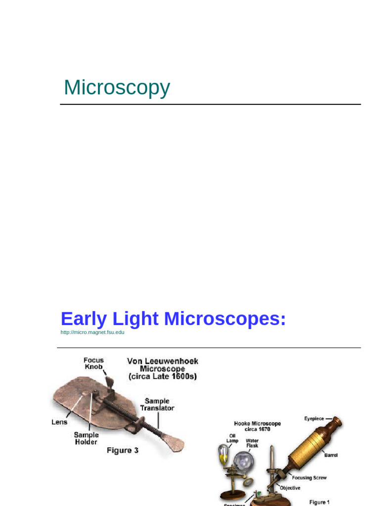 Essential Microscope Components Guide | PDF | Microscopy | Microscope