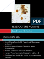 Blastocystis Hominis GDN 260412