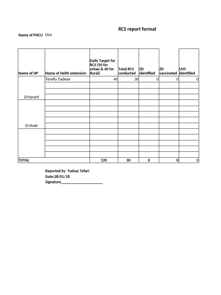 RCS Daily Report Format Template | PDF