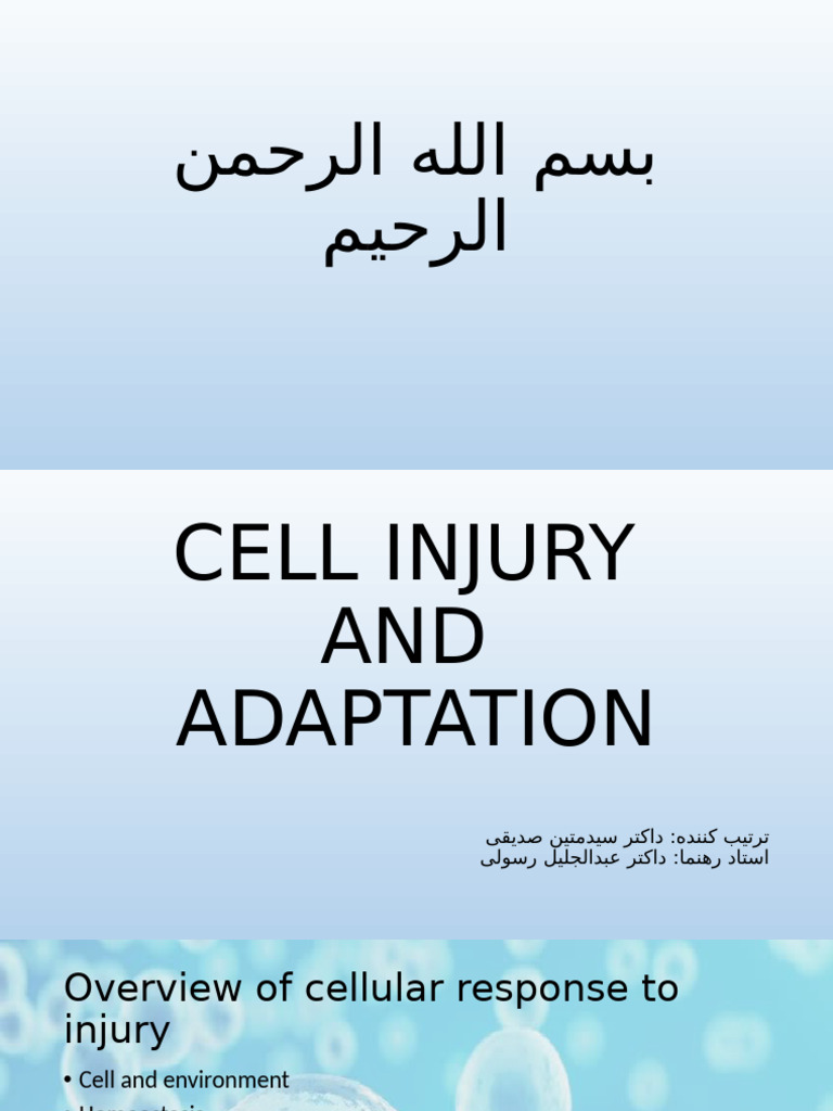 Cell Injury & Adaptation | PDF | Necrosis | Apoptosis