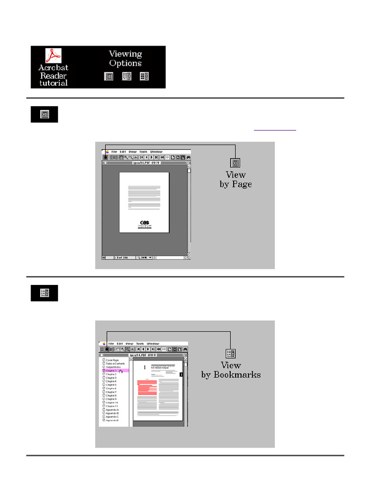 Acrobat Reader Viewing Options Guide | PDF