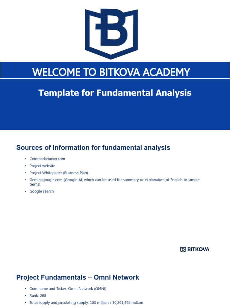 Omni Network Fundamental Analysis Template | PDF