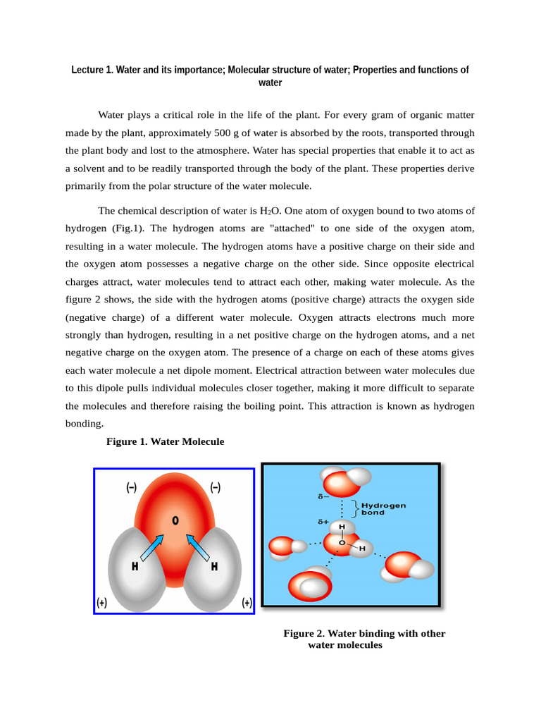 Lecture 1 | PDF | Water | Properties Of Water
