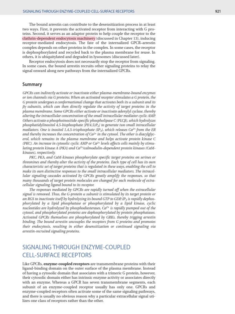 Receptor Tyrsine Kinase 1 | PDF | Signal Transduction | Cell Signaling