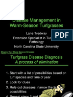Disease Management in Warm-Season Turfgrasses