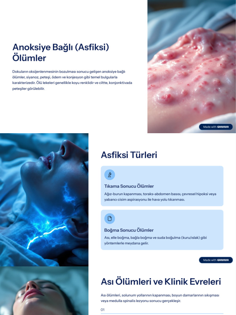 Anoksiye Bagli Asfiksi Olumler | PDF