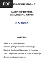 Comprendre le syndrome pyramidal | PDF | Cervelet | Système nerveux