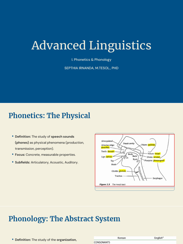 Phonetics and Phonology Overview | PDF | Phonetics | Phoneme