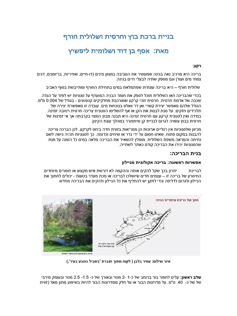 מתוקן אסף בנית שלולית בוץ - אסף בן דויד | PDF