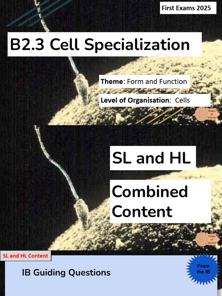 Cell Specialization in Multicellular Organisms | PDF | Cell Potency ...