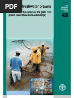 Download Farming Freshwater Prawns by BaneBlade81 SN97333830 doc pdf