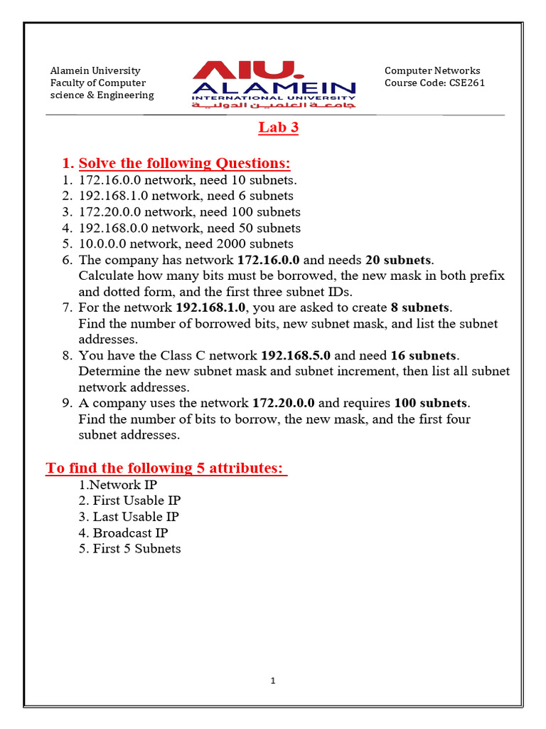 Computer Networks Lab & Assignment Guide | PDF
