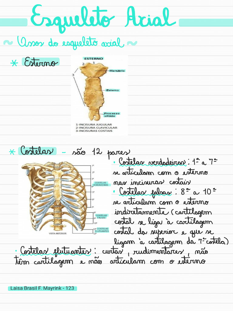 4 Esqueleto Axial Pdf