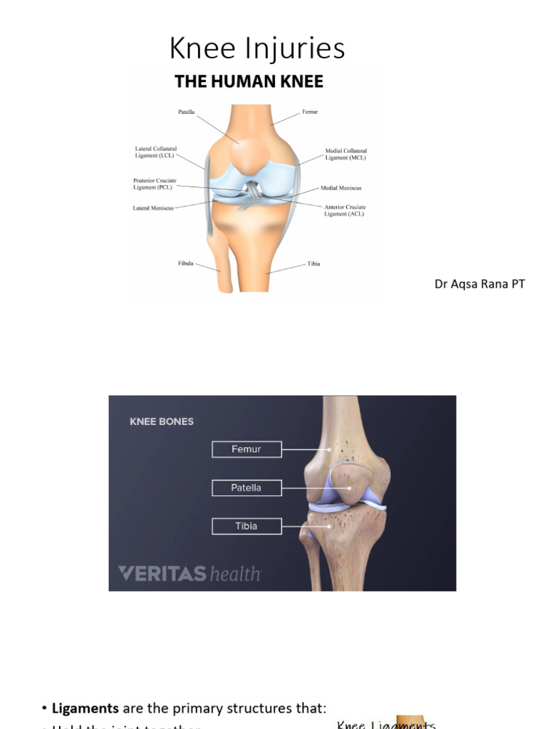 Understanding Knee Injuries and Treatments | PDF | Knee | Injury
