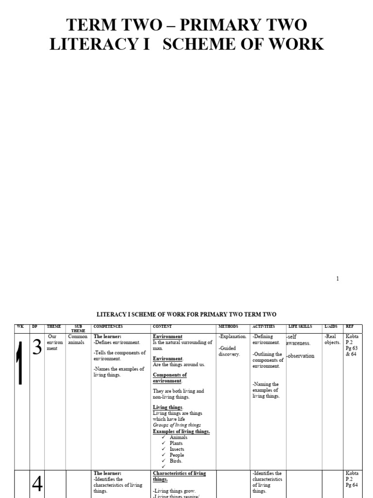 Primary Two Literacy Scheme: Environment | PDF | Insects | Meat
