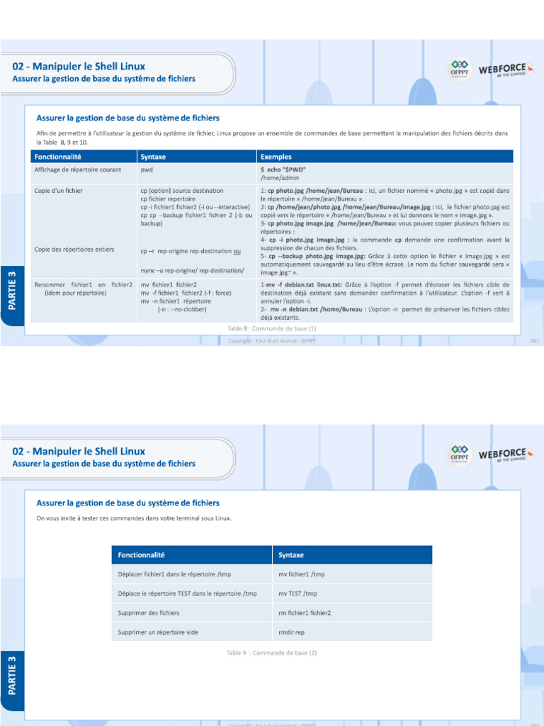 Commandes Elementaire Shell | PDF