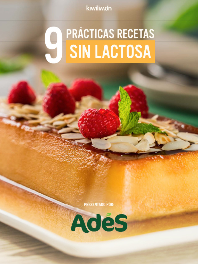 Recetas Saludables Sin Lactosa | PDF | Chocolate | Tortita