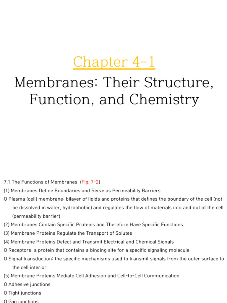 Membrane Structure and Function Overview | PDF | Cell Membrane ...