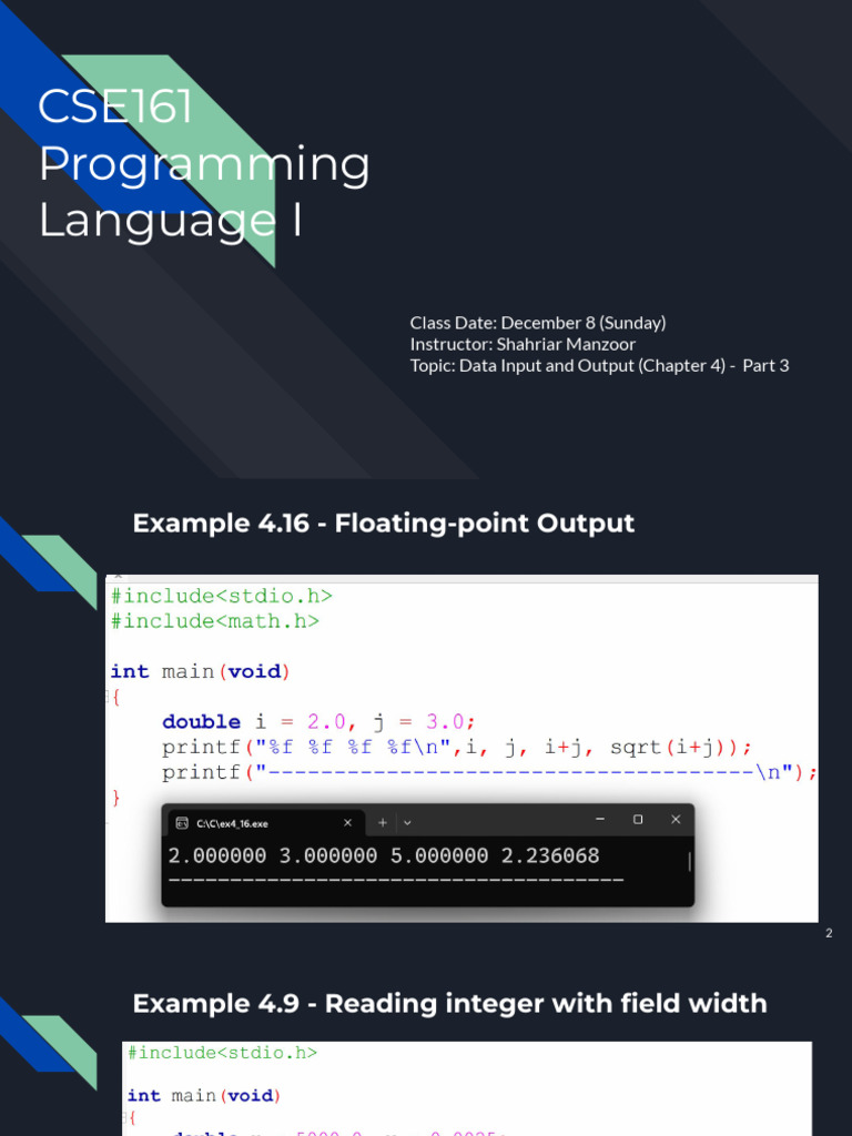Data Input/Output in CSE161 Programming | PDF