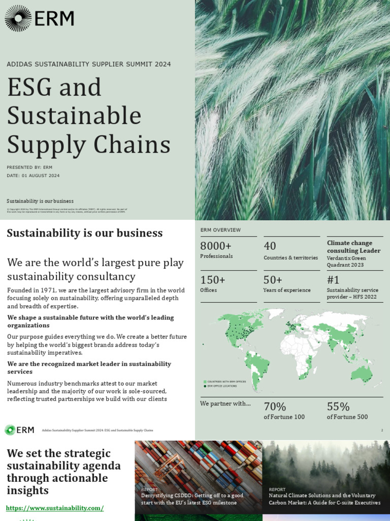 ESG Insights for Sustainable Supply Chains | PDF | Supply Chain ...