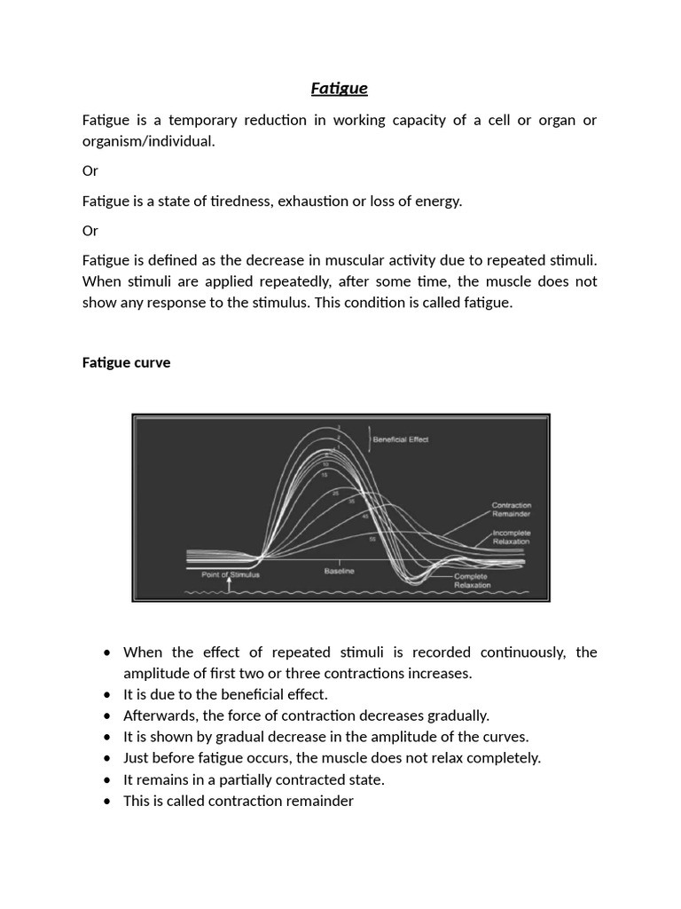 Understanding Muscle Fatigue Causes | PDF | Skeletal Muscle | Muscle ...