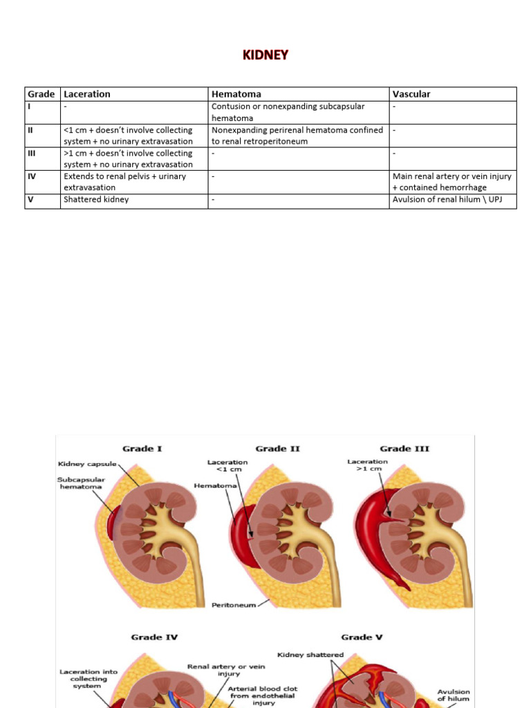 Kidney and Spleen Injury Grades Guide | PDF | Kidney | Blood Vessel