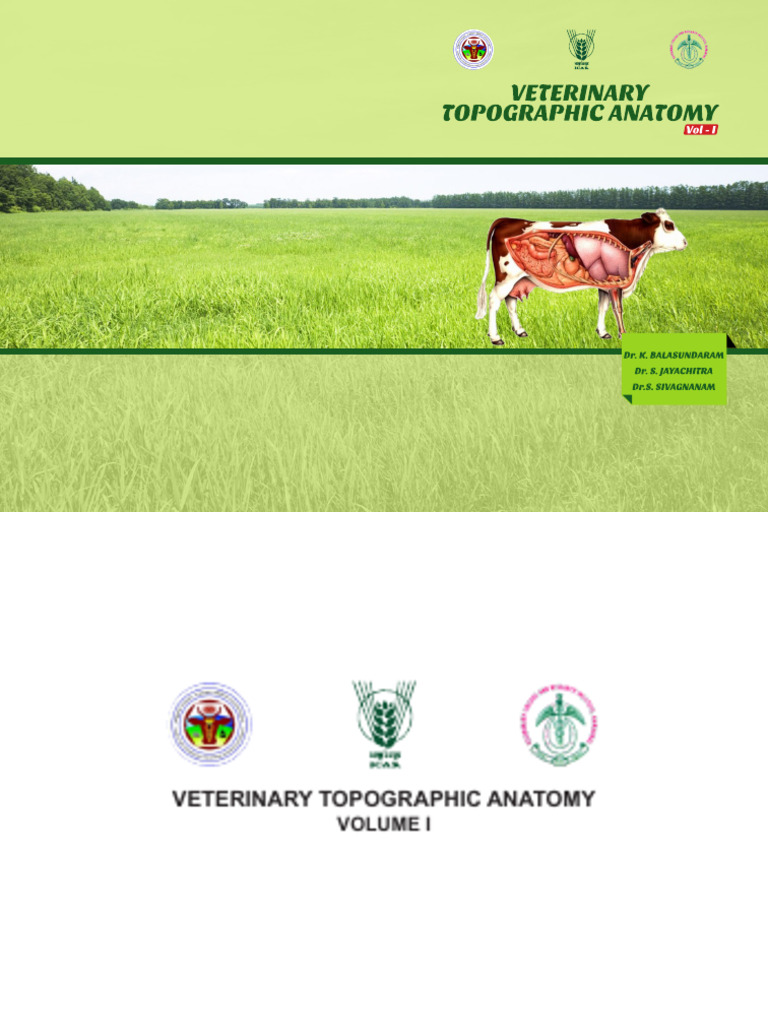 Veterinary Full Book Vol - 1 | PDF | Vertebra | Heart