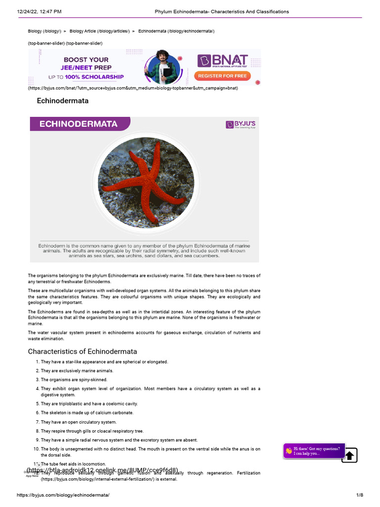 Echinodermata: Traits and Classification | PDF | Biology | Zoology