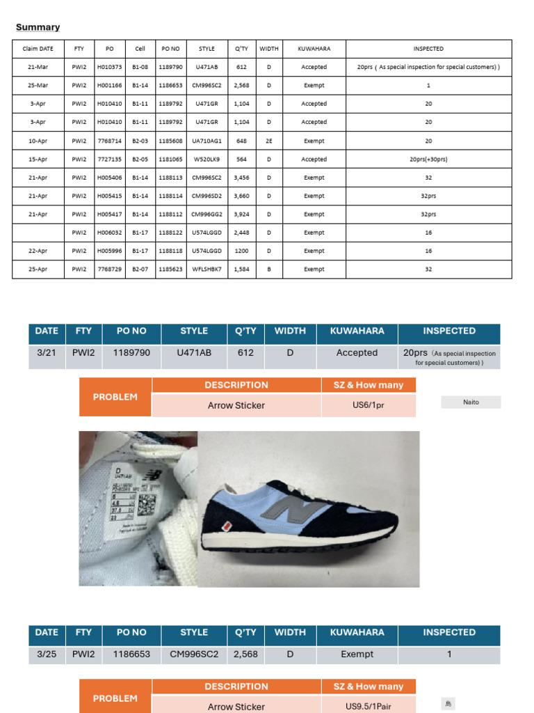 Shoe Inspection Report Summary | PDF
