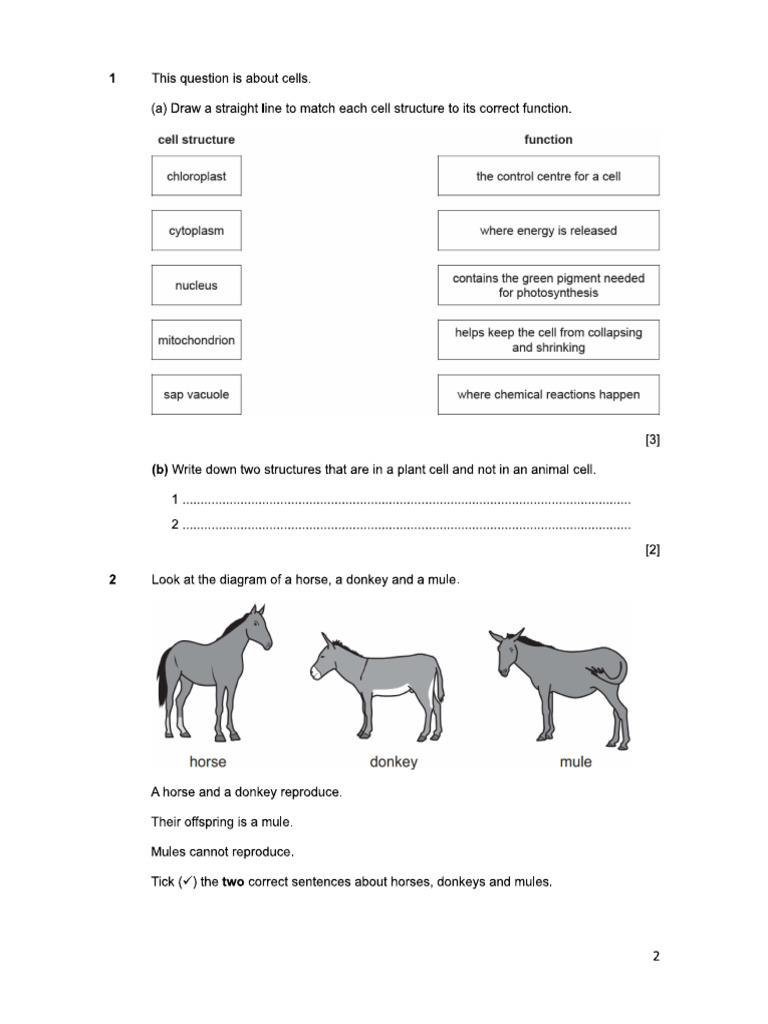 Y7 Science T2 2025 P1 QP | PDF