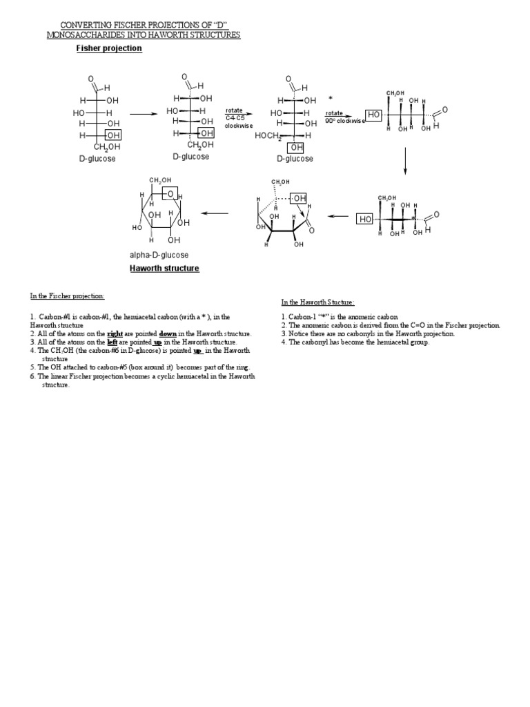 Converting Fischer to Haworth Projections | PDF