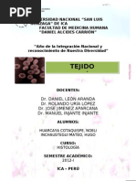 Tejido Sanguíneo OFICIAL