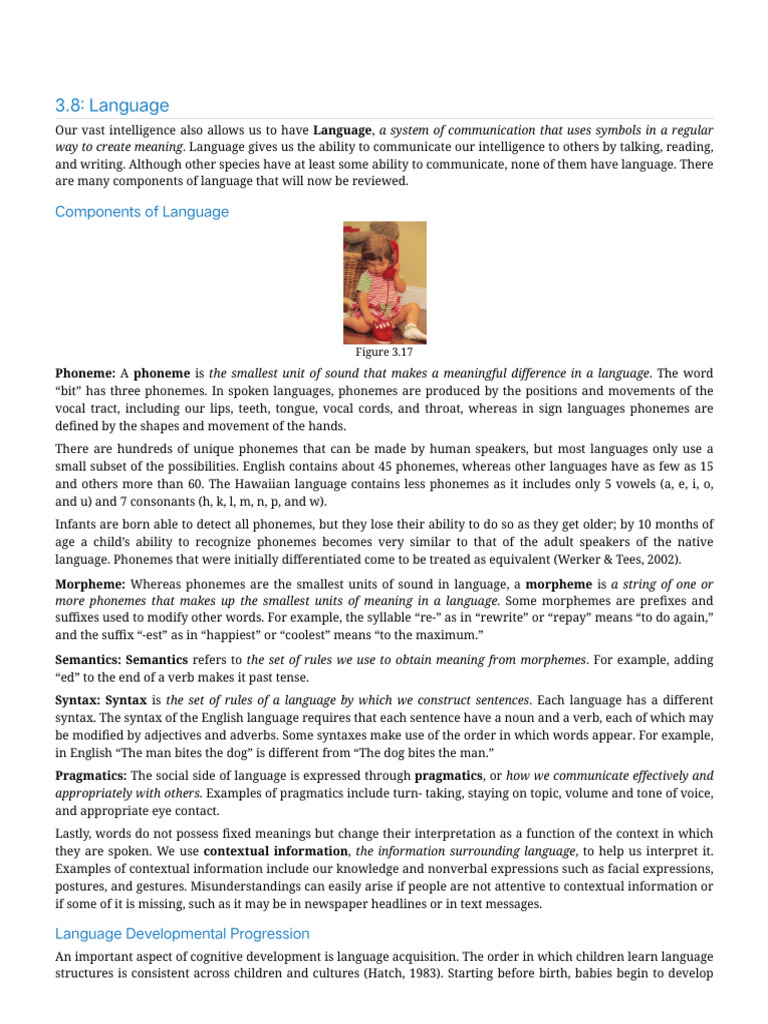 Understanding Language Development | PDF