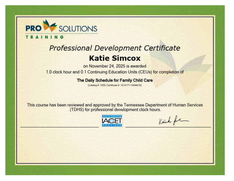 Family Child Care Professional Development Certificate | PDF